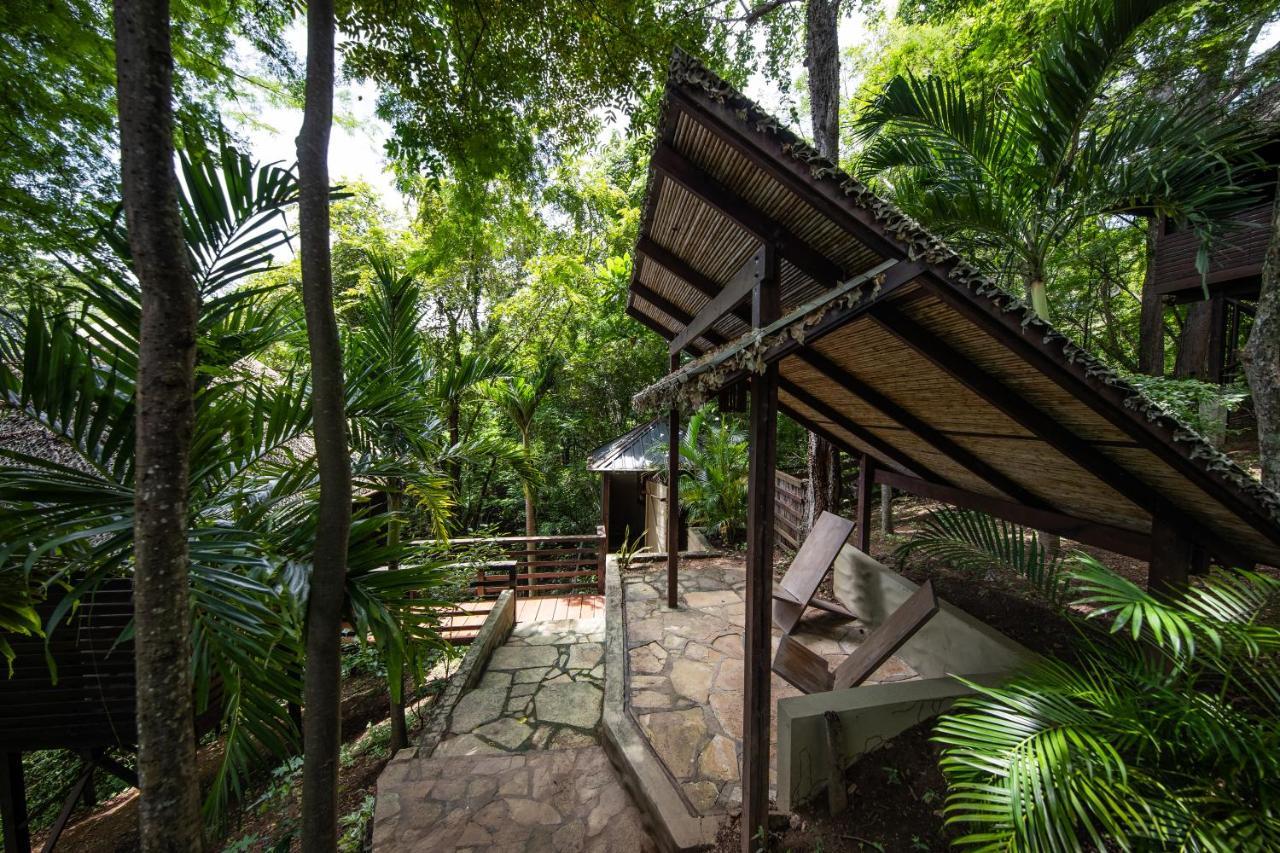 Hotel Buena Vista Surf Club El Plantel Zewnętrze zdjęcie