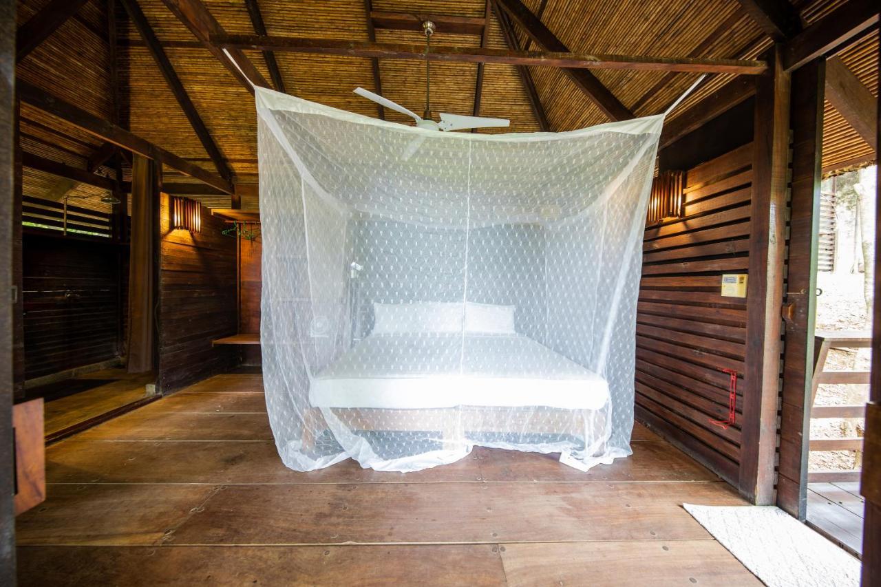 Hotel Buena Vista Surf Club El Plantel Zewnętrze zdjęcie