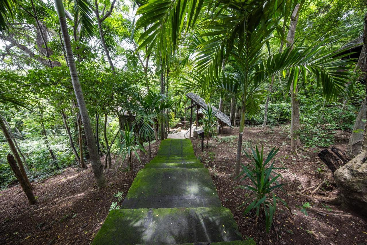 Hotel Buena Vista Surf Club El Plantel Zewnętrze zdjęcie