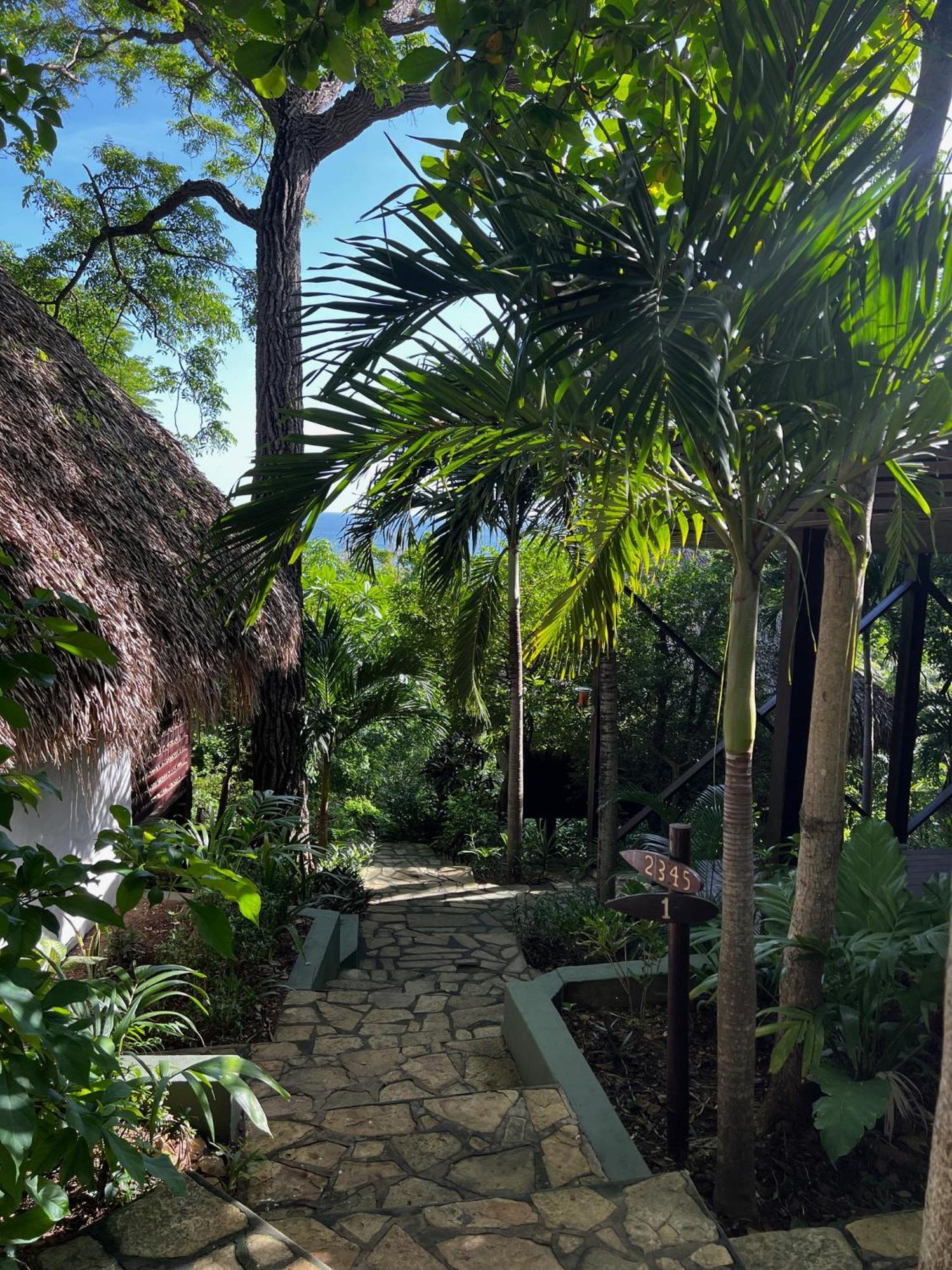 Hotel Buena Vista Surf Club El Plantel Zewnętrze zdjęcie