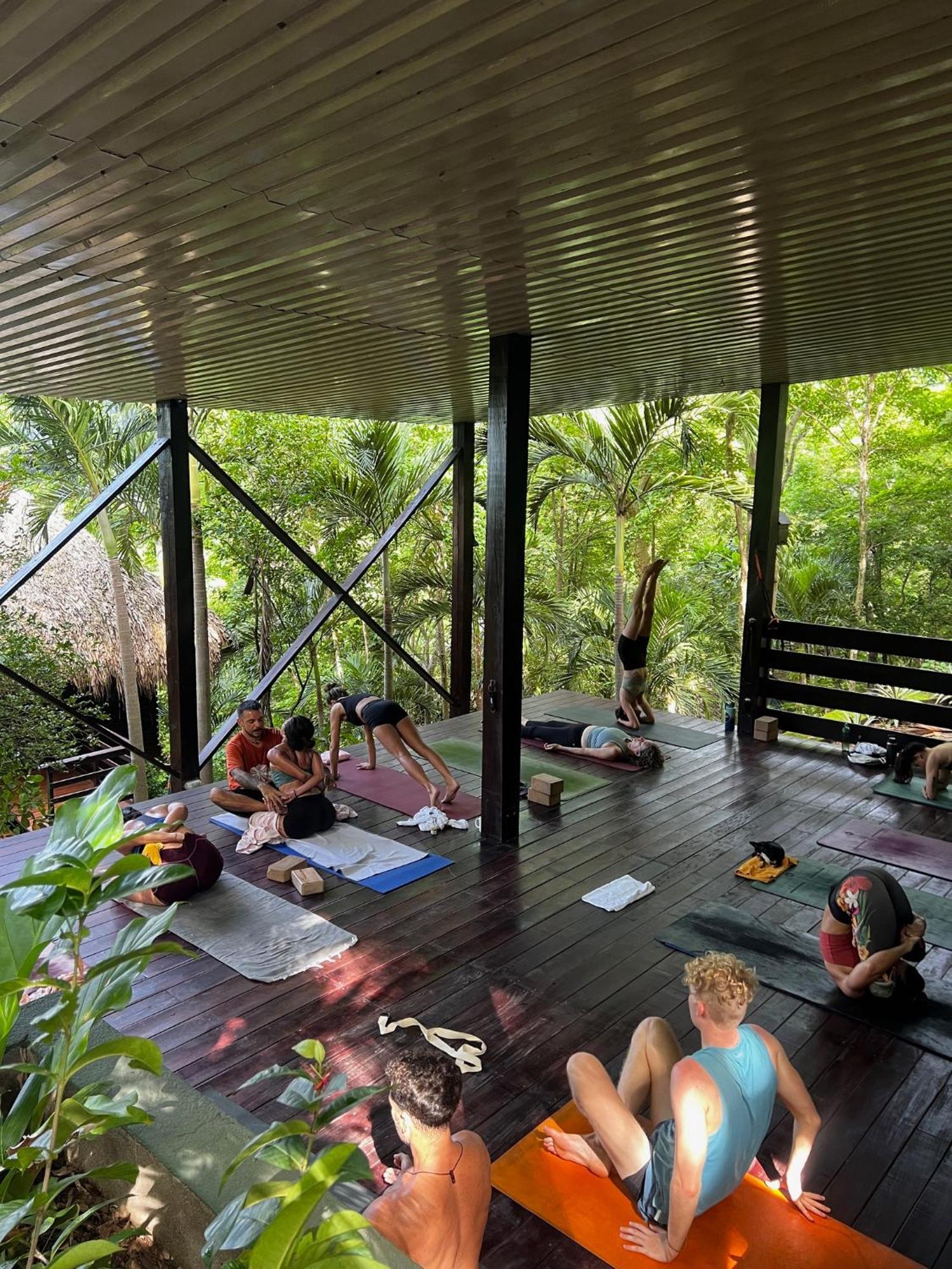 Hotel Buena Vista Surf Club El Plantel Zewnętrze zdjęcie