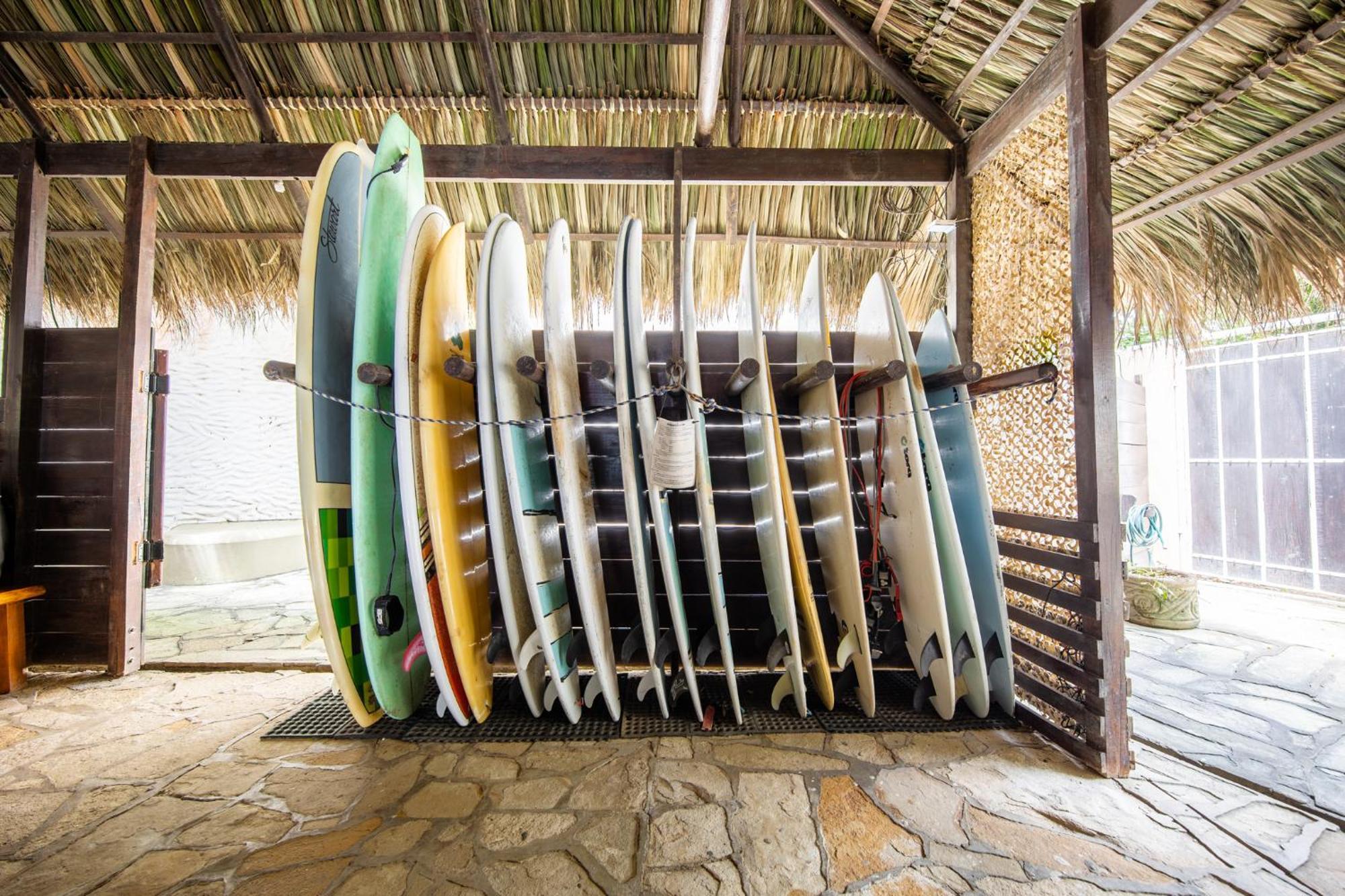 Hotel Buena Vista Surf Club El Plantel Zewnętrze zdjęcie
