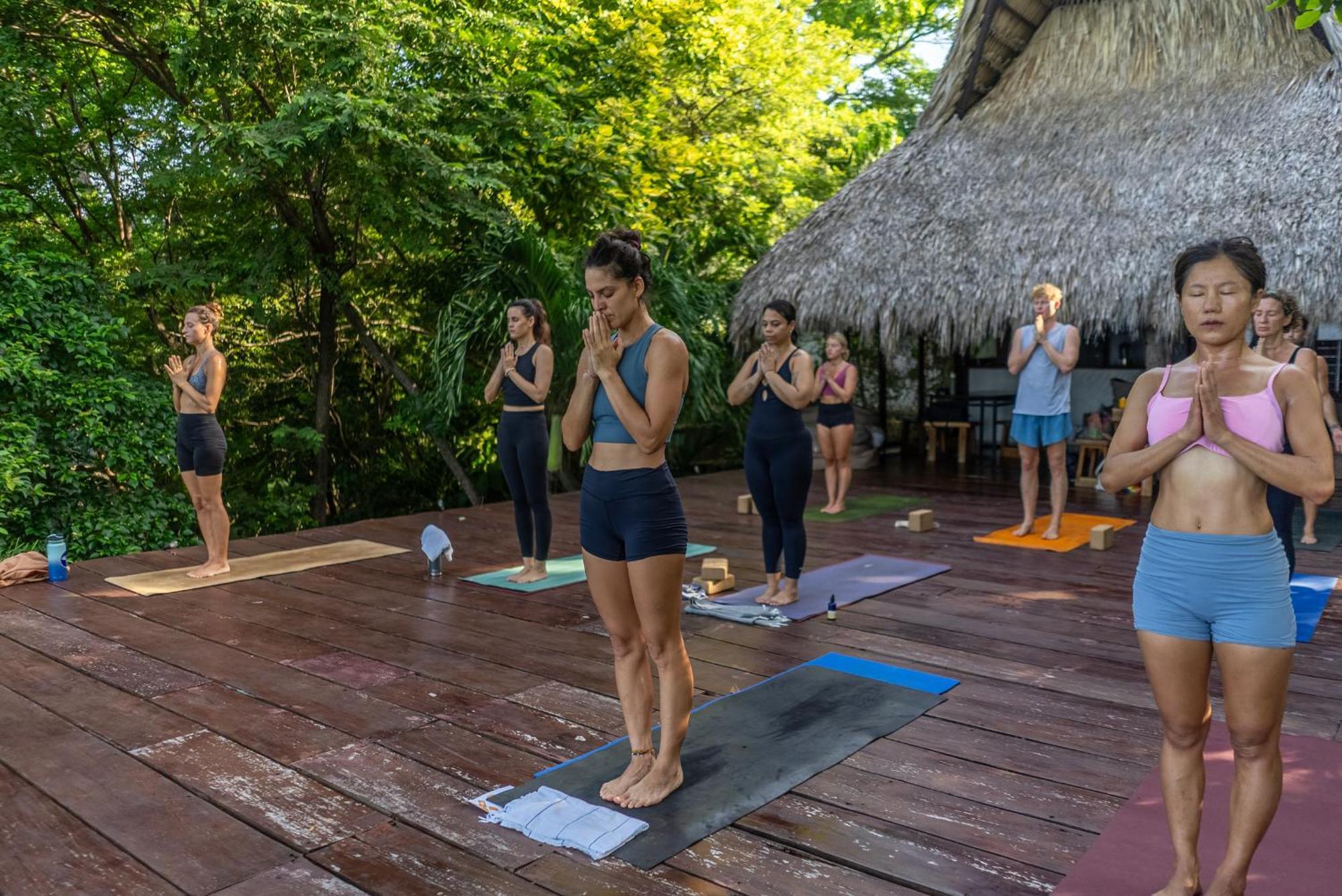 Hotel Buena Vista Surf Club El Plantel Zewnętrze zdjęcie